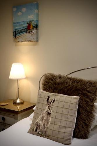 Room 5 - Saddleback