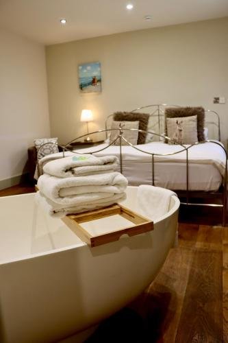 Room 5 - Saddleback