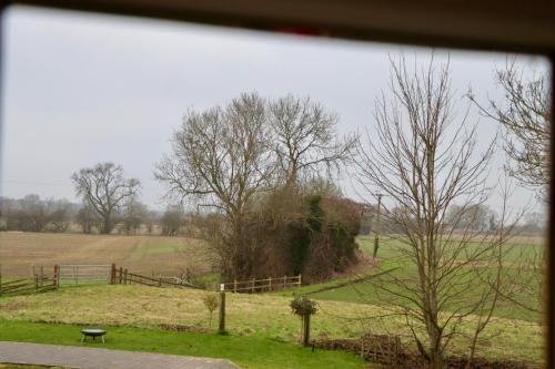 View from window in Room 6